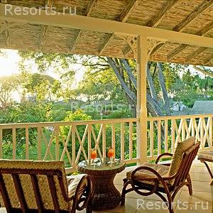 Coral Reef Club 8